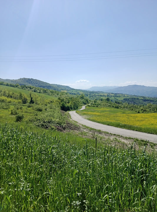 Monferrato & Langhe Full Package | RideSphere x RainbowRoads
