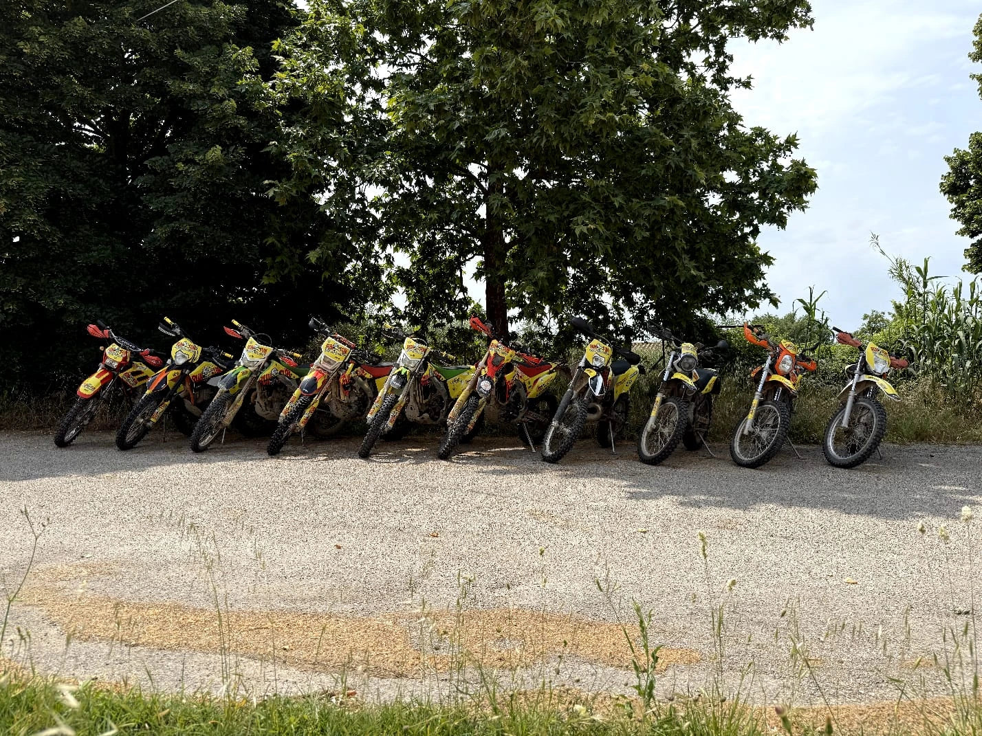 Corso Enduro Off-Road Run X Fun – Base 1, Base 2, Intermedio, Avanzato (Orte VT)