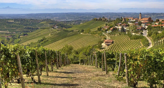 Monferrato & Langhe Moto Tour 2 Giorni – Curve, Borghi UNESCO e Vini DOC